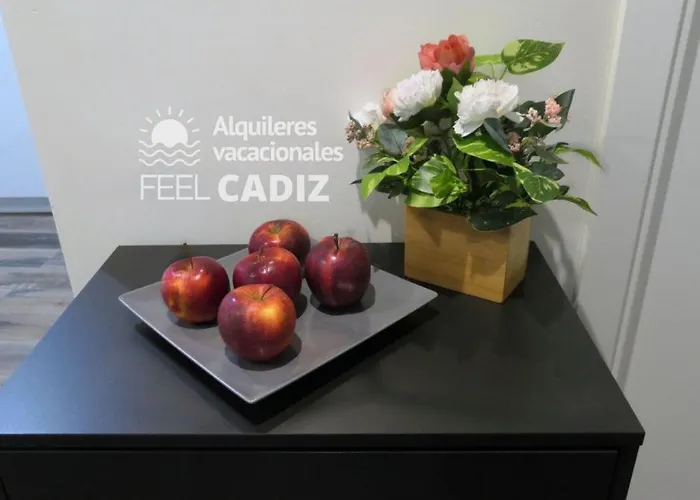 Apartamento Damia, Feel Cadiz