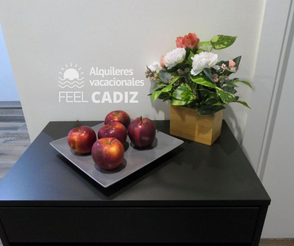 Appartement Damia, Feel